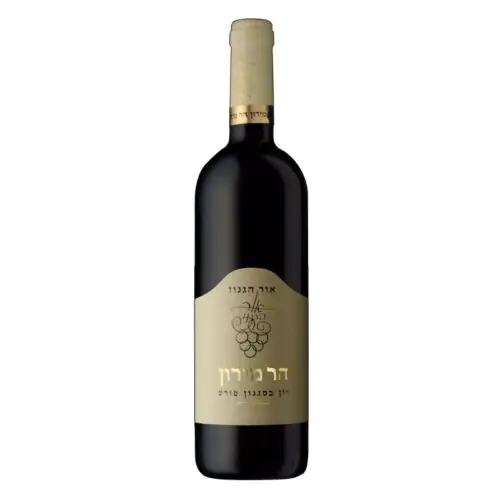 אור הגנוז הר מירון